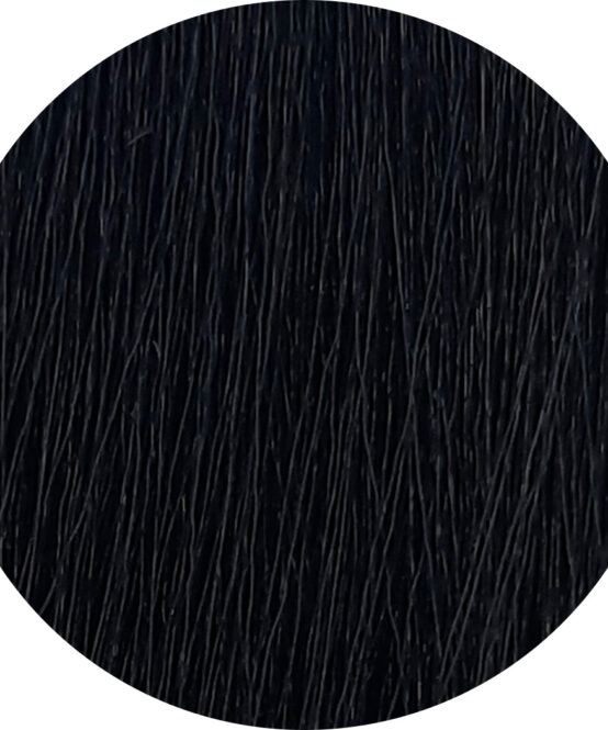 rendu coloration 1.00