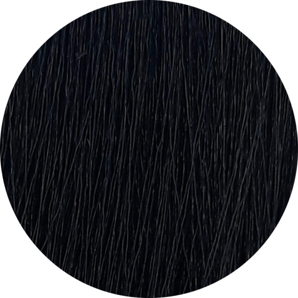 rendu coloration 1.00