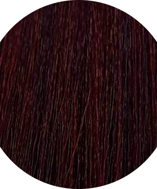 rendu coloration 4.55