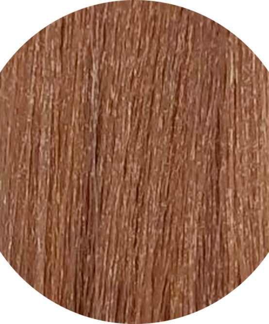 rendu coloration 9.13