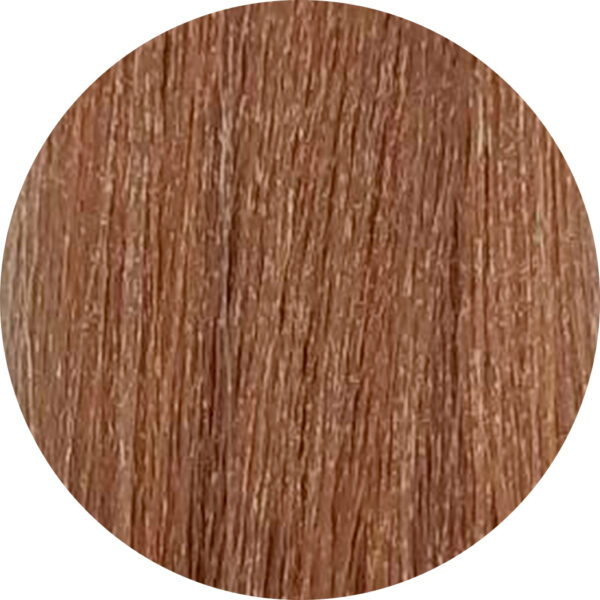 rendu coloration 9.13