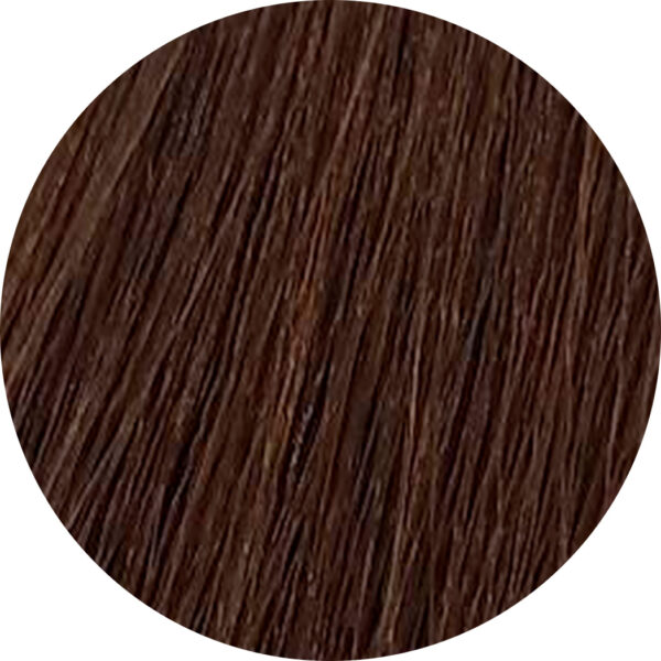 rendu coloration Hazelnut